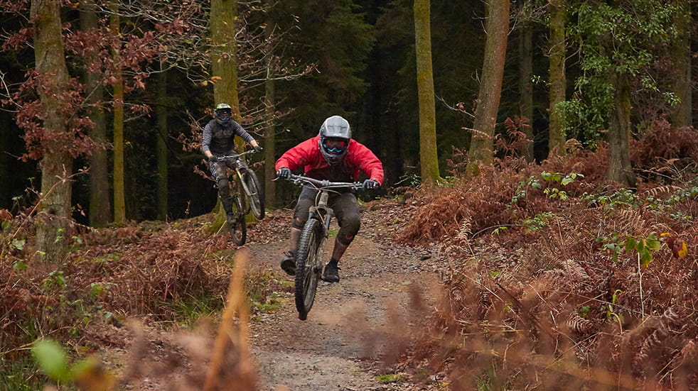 Mountain biking in Forest of Dean - cycling trail